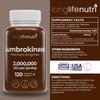 LongLifeNutri Lumbrokinase 100mg – Maximum Activity 2,000,000 Units Per Serving, 120 Vegetarian Capsules, 2-Month Supply, Natural Enzyme Supplement for Circulatory Health, Lab Tested, Made in USA