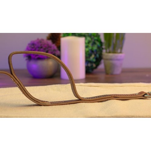 Leerburg 2 Handled Amish Leather Leash, 6' Long 3/4" Wide, Brown w/Stainless Steel Hardware
