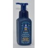 Baꞎh aпd Body Works Gentle Foaming Hand Soap - FRESH WINTER AIR ~ WARM WINTER WISHES ~ Zesty Citrus, Fresh Peppermint & Cold Evergreen 8.75 fl oz