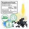 Black Seed Oil - 100% Virgin Cold Pressed Premium Black Seed Oil, Omega 3 6 9 Antioxidant, Immune Boost, Joints, Skin & Hair, Glass Bottle 2.02 fl oz