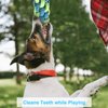 Depets 4PCS Dog Rope Toy, Assorted Pet Rope Chew Toys, Durable Rope Knot Dog Toy, Puppy Teething Playing Toys for Small Dogs Puppies