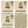Age of Sage Natural Bar Soap for Women - Vegan Bath Soap Bars Gift Set - Handmade Cold Process Artisan Soap w/Essential Oil, All Moisturizing Wash Soaps, Fragrant Eucalyptus Aloe Scent (4 Pack)