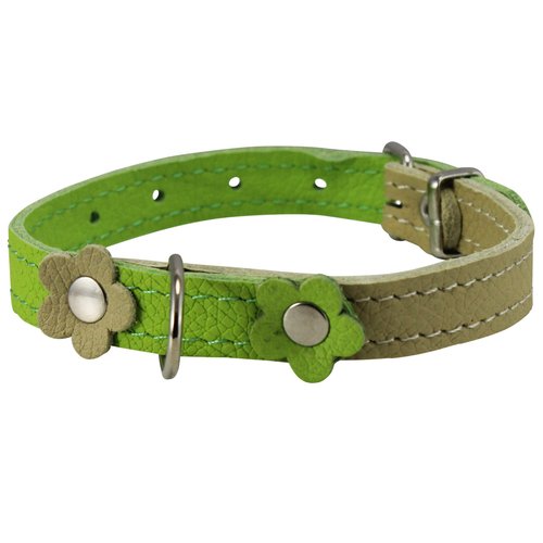 Genuine Leather Designer Dog Collar, Daisy, Studs. 11" x1/2" Wide. Fits 8"-10" Neck, Yorkshire Terrier, Puppies