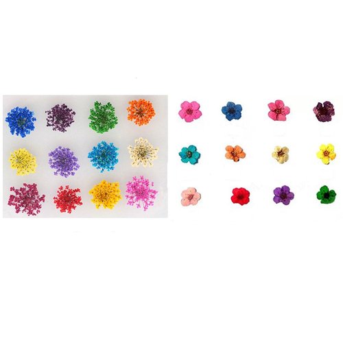 XICHEN 120 PCS/ 2Boxes Five Flower Flower Three-Dimensional Applique 3D Nail Stickers Nail Supplies Dried Flowers（Starry and Five Flower）