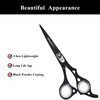 Barber Hair Cutting Scissors Kit for Women & Men, Professional Hair Scissors Set, Scissor for Hair Cutting, Thinning Scissors, Straight Razor, Hair Comb, Sharpend Shears Kit for Home, Salon