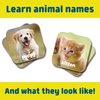 Chuckle & Roar - Matching Game Baby Animals - Board Game for Kids 3 and up - Concentration Game for Toddlers - Preschool Game