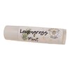 Golden Hives Apiary Moisturizing Lip Balm With Raw Beeswax & Organic Cocoa Butter - Lemongrass Mint (pack of 3)