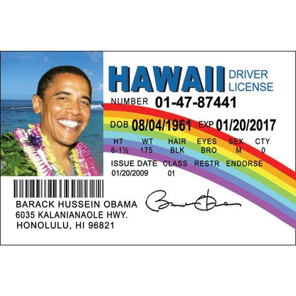 Signs 4 Fun Parody Driver’s License | Obama Hawaii ID | Fake ID Novelty Card | Collectible Trading Card Driver’s License | Novelty Gift for Holidays | Made in The USA