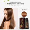 Coffee Instant Hair Color Shampoo - Long Lasting Brown Dye for Men & Women, 16.90 Fl Oz - Easy to Use (Coffee)