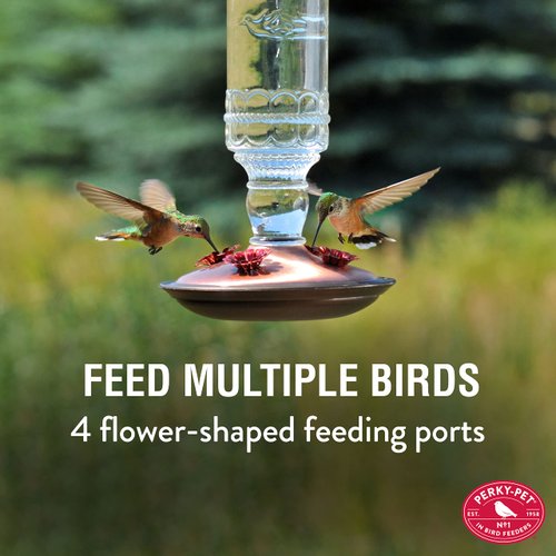 Perky-Pet 8107-1SR Antique Glass Bottle Hummingbird Feeder - Outdoor Garden Décor Hummingbird Feeder