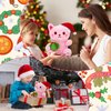 Hagusahuo Christmas Stuffed Animal Pink Cat Plush, Cute Cat Stuffed Animal with Gift Box Plush for Kid, Kawaii Cat Plushie Toy for Kids Boys Girls Cartoon Christmas Decoration