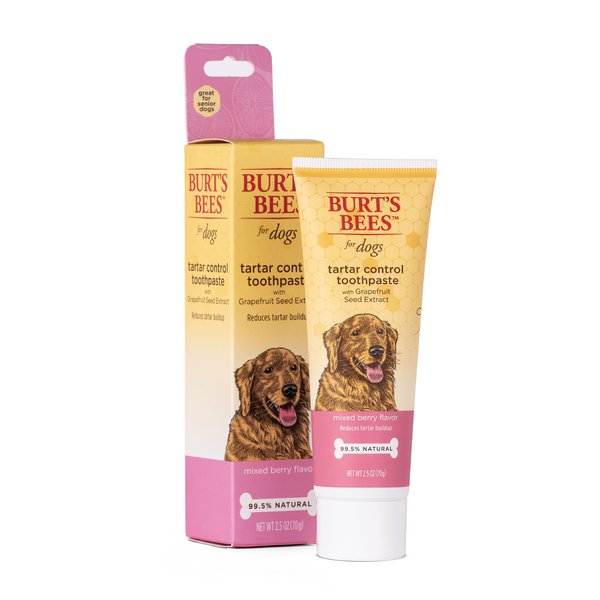 Burt's Bees for Pets Tartar Control Toothpaste for Dogs with Grapefruit Seed Extract | 99.5 % Natural Dog Toothpaste for Tartar Control in Mixed Berry Flavor | Tartar Control Dog Toothpaste, 2.5 Oz