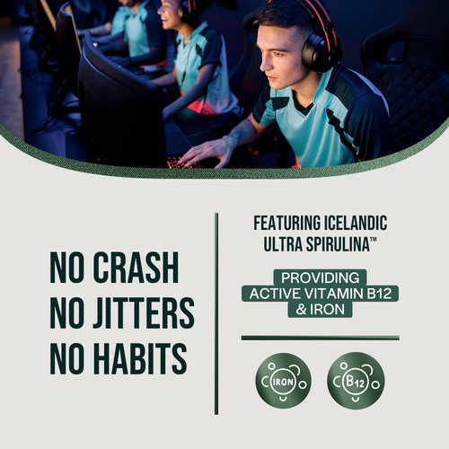 ORLO BRAIN PERFORMANCE BAR – Vegan Protein Bars for Brain & Energy Support – Focus & Memory, Pre & Post Workout Recovery – Gluten Free Snack with L-Theanine, Lions Mane, Spirulina & More (12 Bars)