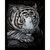 Royal Brush Silver Foil Engraving Art Kit 8"X10", White Tiger
