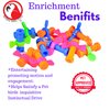 Bonka Bird Toys 2026 Pk12 Plastic Bolt and Wing Nuts Foot Talon Parrot Cage Toy, Conure, African Grey, Ringnecks, and Similar Breed Sizes