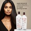 Bain de Terre Sweet Almond Oil Long & Healthy Shampoo, Strength & Protection for Weak, Damaged Hair, with Argan & Monoi Oils, Paraben-Free, Color-Safe, Vegan, 13.5 Fl Oz
