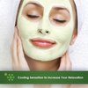 Sudden Change Green Tea Facial Mask 3.4oz by Sudden Change