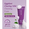 Papa Recipe Eggplant Moisturizing Cleansing Foam for Sensitive, Dehydrated, and Acne-Prone Skin - 2 Pack