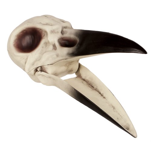 Crazy Bonez Raven Skull Decoration