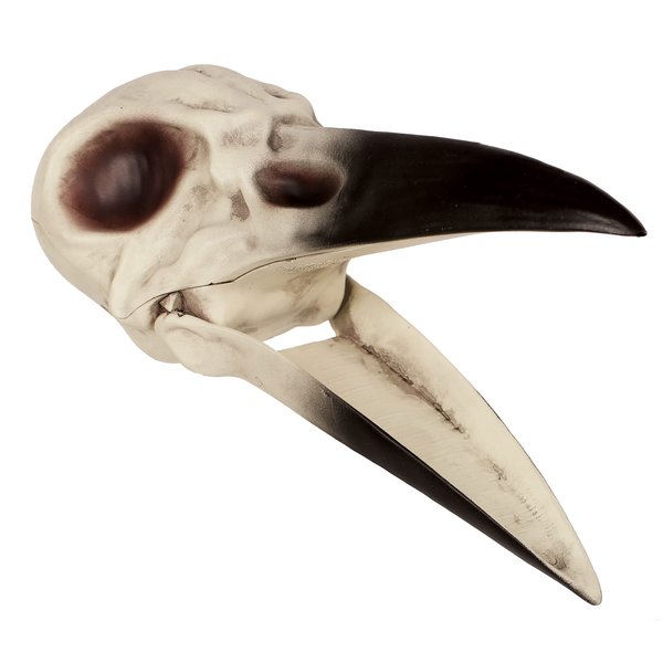 Crazy Bonez Raven Skull Decoration