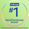 Softsoap 44572EA Antibacterial Hand Soap, Fresh Citrus, 11 1/4 oz Pump Bottle