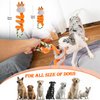 VelvetVines Squeaky Dog Toys, Interactive Dog Toys with Pull Rope,Tug of War Dog Toy, Plush Dog Pull Toy, Interactive Dog Toys for Aggressive Chewers,Plush Puppy Toys for Small, Medium, Big Dogs