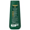Irish Spring Aloe Mist Body Wash for Men, 591 mL
