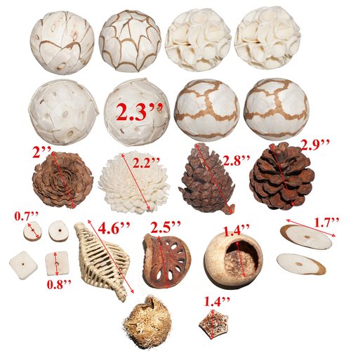 AEspares Bird Toys Interactive and Durable Play Toys for Pet Birds Parrots Cockatiels Conures Caiques Parakeet Budgies Other Parrots Breeds and Birds Breeds (Bird Toy Set 23 Pieces)