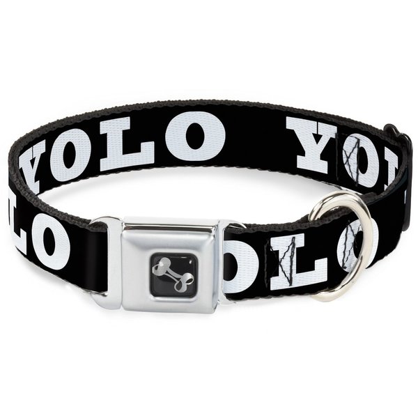 Dog Collar Seatbelt Buckle YOLO Bold Black White 9 to 15 Inches 1.0 Inch Wide