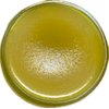 Organic Herbal Salve | Tangerine Salve Made with Organic Olive Oil | 2oz | Orange Scented