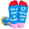 Zmart Gifts for Teenage Girls Boys, Gifts for 17 Year Old Girl Boys 17th Birthday Gifts, Funny Socks for Teens