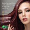 Dabur Henna Hair Color - Burgundy, Henna Hair Dye and Conditioner, 100% Grey Coverage, 6 Sachets (2.11 Ounce Each), Ammonia Free, Semi-Permanent, For Normal Hair, Suitable for Grey Hair