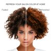 Celeb Luxury, Professional Semi-Permanent Hair Color Depositing Shampoo, Gem Lites Amber Colorwash, 8.25 Fl Oz (Pack of 1)