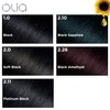 Garnier Hair Color Olia Ammonia-Free Brilliant Color Oil-Rich Permanent Hair Dye, 1.0 Black, 2 Count (Packaging May Vary)