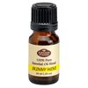 Fabulous Frannie Skinny Mini Essential Oil Blend 10ml Made with Pure Essential Oil Lemon, Grapefruit, Peppermint, Ginger & Cinnamon Bark.