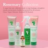 Camille Rose Rosemary Oil 5-Minute Deep Strengthening Hair Mask and Conditioner, with Natural Castor, Peppermint, and Rosemary Oils for Hair Growth & All Hair Types, 8.5 fl oz