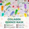 DERMAL 16 Combo Pack B Collagen Essence Korean Face Mask - Hydrating & Soothing Facial Mask with Panthenol - Hypoallergenic Self Care Sheet Mask for All Skin Types - Natural Home Spa Treatment Masks