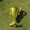 ABOOFAN 5Pcs Gold Foil Balloons Trophy Mylar Balloons for Basketball Football Soccer Anniversary Birthday Party Decor Supplies