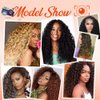 BAESITTE Ocean Wave Crochet Hair 20 inch Soft Hawaii Wavy Braiding Hair 4 Packs Hawaii Wavy Synthetic Crochet Hair Long Curly Hair Extensions #4 Natural Black Color 90g