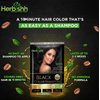 Herbishh Hair Color Shampoo 2 Travel Pack Combo + 1 Pro-Keratin Argan Hair Mask for Deep Conditioning & Hydration 3 in 1 Permanent Hair Dye Shampoo for Grey Hair (Black)