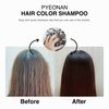 PYEONAN Instant Permanent Hair Dye Shampoo - Easy & Fast Hair Coloring for Men Women, Natural Black Hair Color, 5 PCS (Dark Brown)