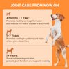 PUAINTA Collagen for Dogs Hip and Joint Supplement, Glucosamine, Chondroitin, MSM Dog Joint Pain Relief Treats, Hip & Joint Care for Large Breeds Enhance Mobility, Bone Health-30 Soft Chews