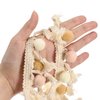 uxcell 2 Yards Pom Pom Ball Fringe Trim, Ribbon Sewing DIY Crafts Accessory for Home Curtain Clothes Pillow Decoration, Beige