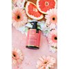 SPONGELLÉ Spongelle Grapefruit Cassis Refill Hand & Body Wash | Nourishing Luxury Soap | Zesty Grapefruit, Cassis & Vanilla | 11 fl. oz.