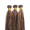 Ombre Human Hair Bundles Highlight Bundles Human Hair P427 Curly Wave Bundles 24 26 28 Inch Brazilian Remy Hair Extensions 8a Soft and Healthy Hair Bundles 100g/Pc