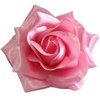 Light Pink Rose Hair Clip from Sourpuss Clothing