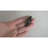 Small black metal vine leaf hair pin alligator clip barrette for fine thin hair