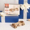 ROKR 3D Wooden Puzzle for Adults Mechanical Car Model-DIY Building Vehicle Kits-Brain Teaser Toys-Gift for Men Women on Birthday/Christmas Day(Grand Prix Car)