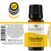 Plant Therapy Citrus Burst Synergy Essential Oil Blend 10 mL (1/3 oz) 100% Pure, Undiluted, Therapeutic Grade