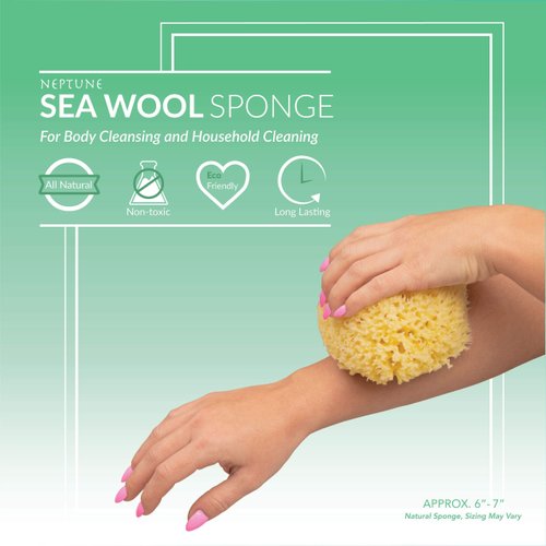 Neptune Natural Sea Wool Sponge - All Natural Honeycomb Renewable Sea Sponge, Jumbo, Approx. 7 Inches